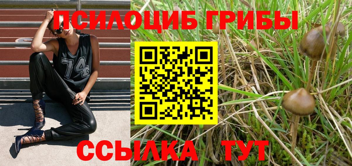 Балахна  Псилоцибиновые грибы MAGIC MUSHROOMS  Вход с VPN 